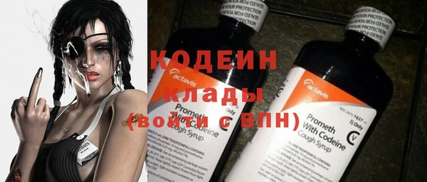 молекула духа Сосновый Бор