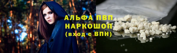 ГАЛЛЮЦИНОГЕННЫЕ ГРИБЫ Сосновка