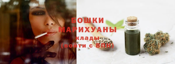 СК Сосновоборск